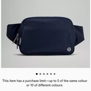 Everywhere belt bag 2L